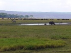 Lake Nakuru National Park