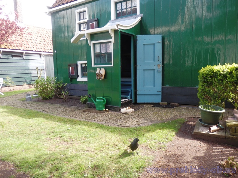 Skanzen Zaanse Schans 3 - Skanzen Zaanse Schans_3.JPG Skanzen Zaanse Schans_3.JPG
